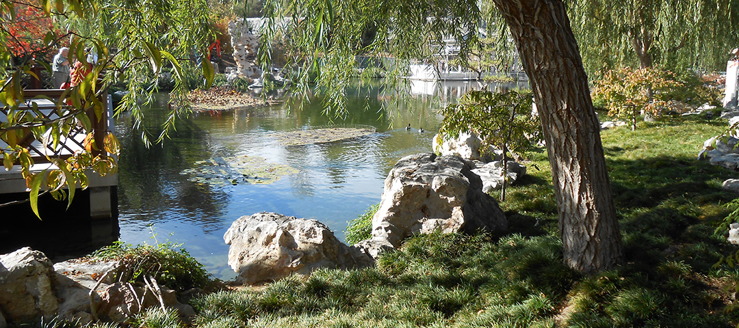 Missing the Bus, But Not Missing Out