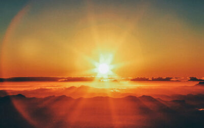 The Light Shines in the Darkness