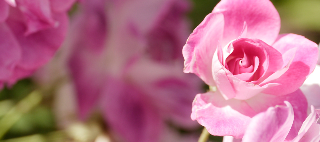 Finding the Silver Lining